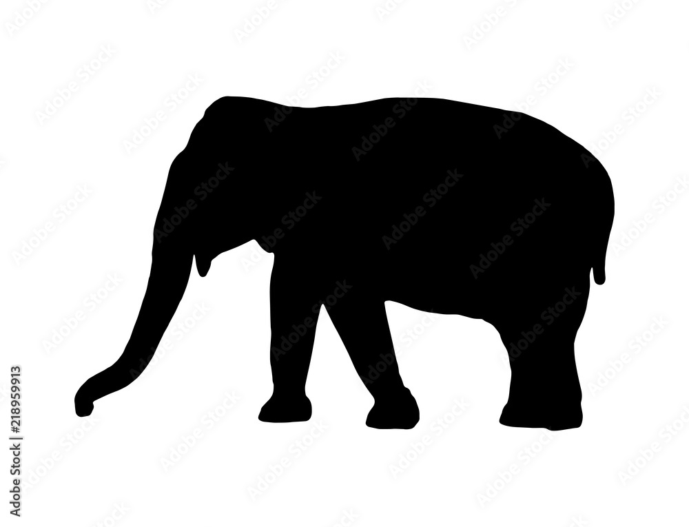 Vector elephant black silhouette Vector elephant black silhouette