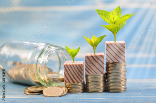 Coin and the bottle bank with plant growing with savings money put on the vintage blue background, Business investment concept.