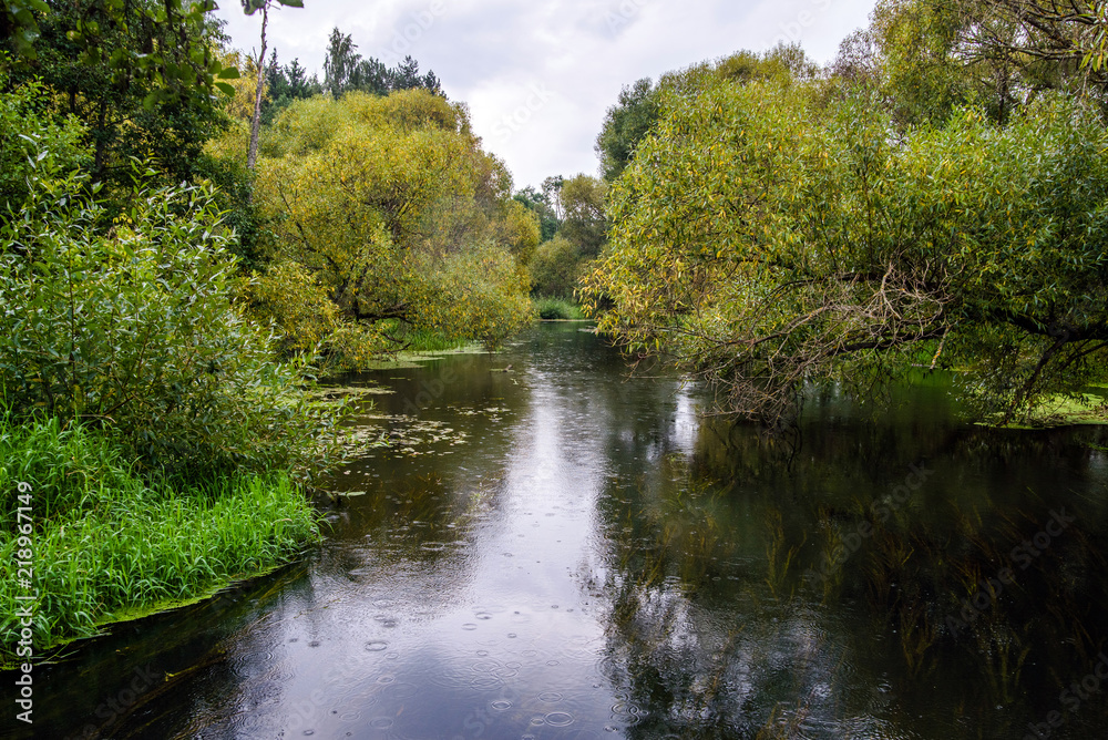 autumn landscape with river and forest in Belarus autumn landscape with river and forest in Belarus
