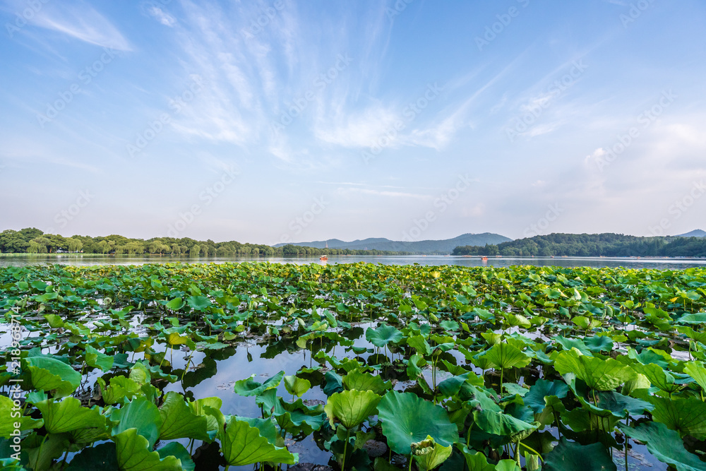 landscape of west lake in hangzhou china