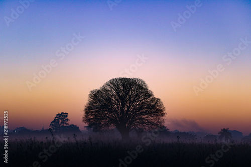 Amanhecer