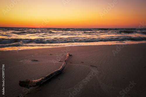Beautiful landscape with sea, sunset and driftwood. Composition of nature
