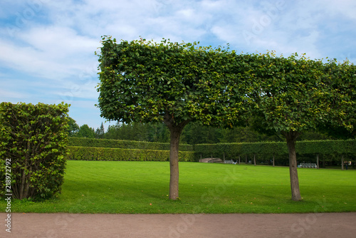 Catherine park.Tsarskoye Selo is a former Russian residence of the imperial family and visiting nobility 24 km south from the center of St. Petersburg