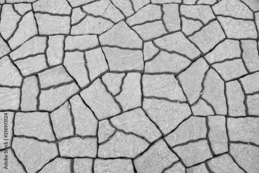 Obraz premium Stamped Concrete or Concrete cement flooring type pattern.
