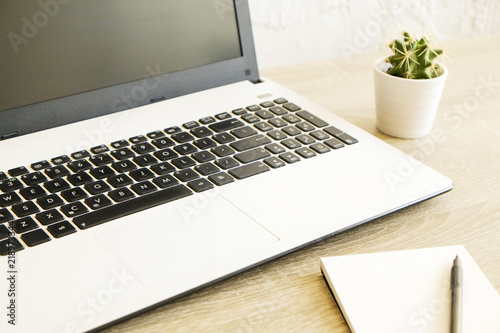 Close up composition: blank screen laptop computer, empty page notebook planner, pen and cactus plant on wooden table with visible wood texture pattern. Background, copy space, top view, flat lay. © Evrymmnt