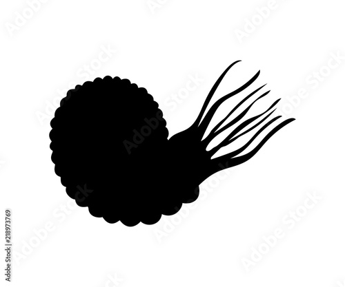 Ammonit mollyusk silhouette fossil prehistoric animal