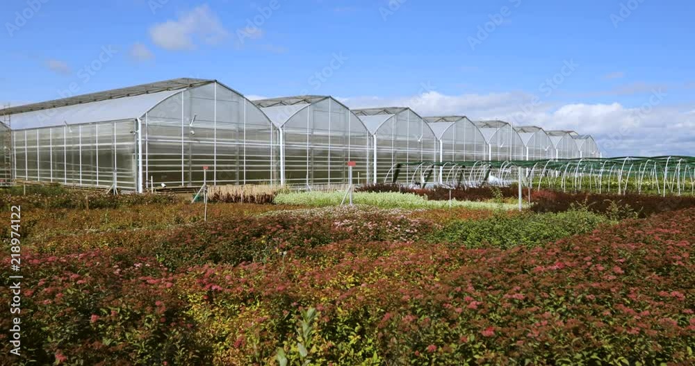 Big greenhouse with glass walls, foundations, gable roof, garden bed. horticultural conservatory for growing vegetable and flowers. Classic cultivate greenhouse gardening. Sunny day. Big greenhouse with glass walls, foundations, gable roof, garden bed. horticultural conservatory for growing vegetable and flowers. Classic cultivate greenhouse gardening. Sunny day.