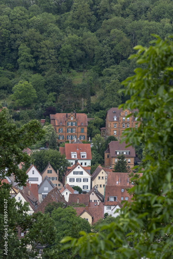 German houses surrounded by forest German houses surrounded by forest