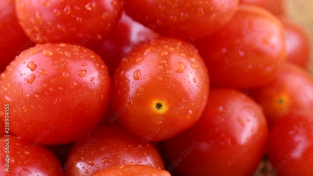 fresh tomato rotation fresh tomato rotation