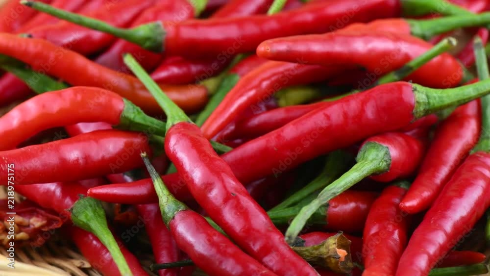 red chili pepper rotation red chili pepper rotation