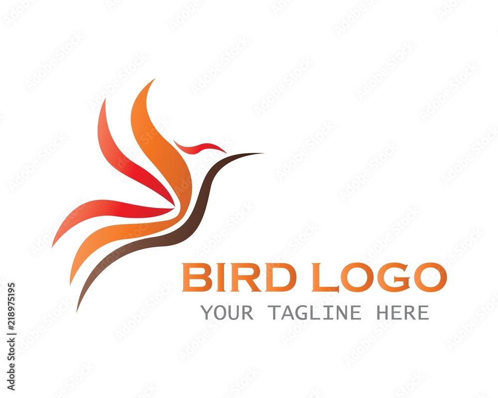 bird logo concept bird logo concept