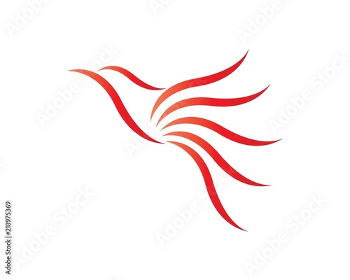 bird logo concept