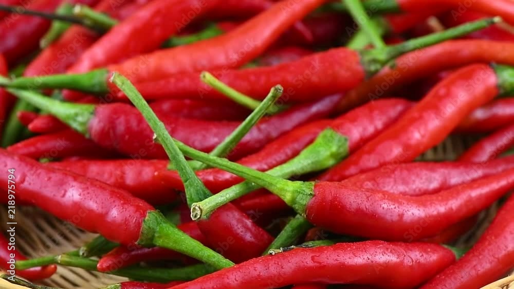 red chili pepper rotation red chili pepper rotation