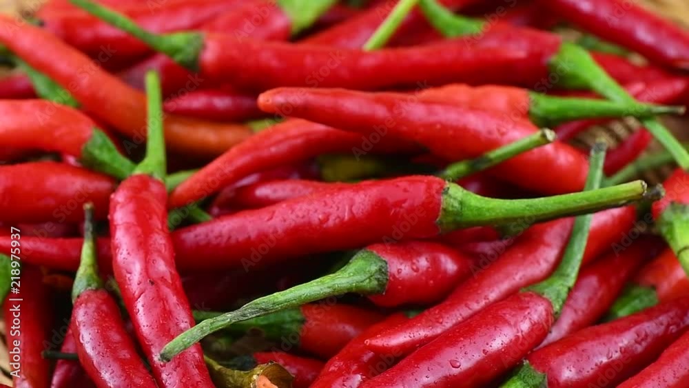 red chili pepper rotation red chili pepper rotation