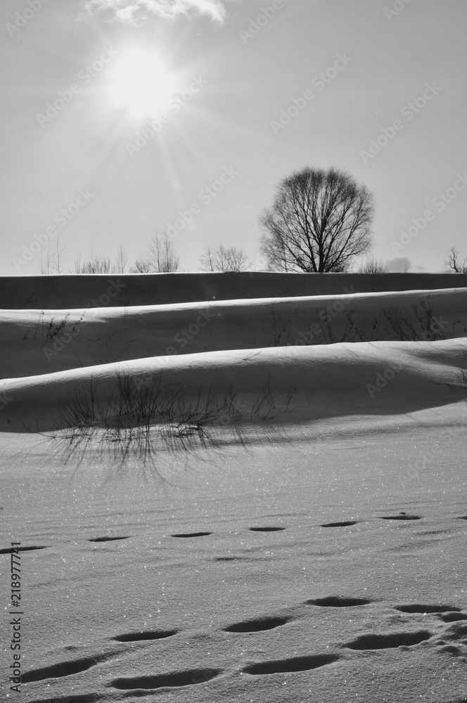Black and white rhythmic landscape Black and white rhythmic landscape