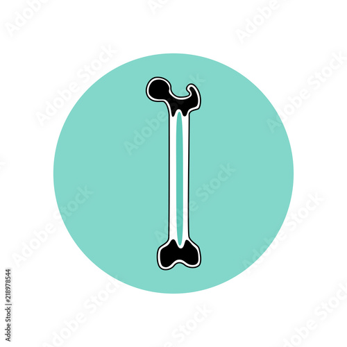 Vector illustration of bone marrow
