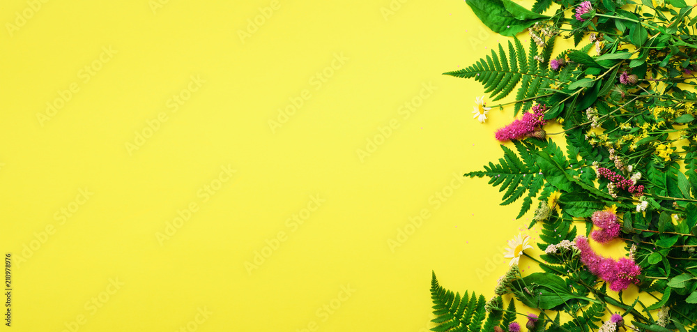 Wild summer flower on yellow background. Creative flat layout pattern with copy space, top view. Spring concept, Mother's Day holiday, March 8. Composition of flowers. Floral abstract frame. Banner