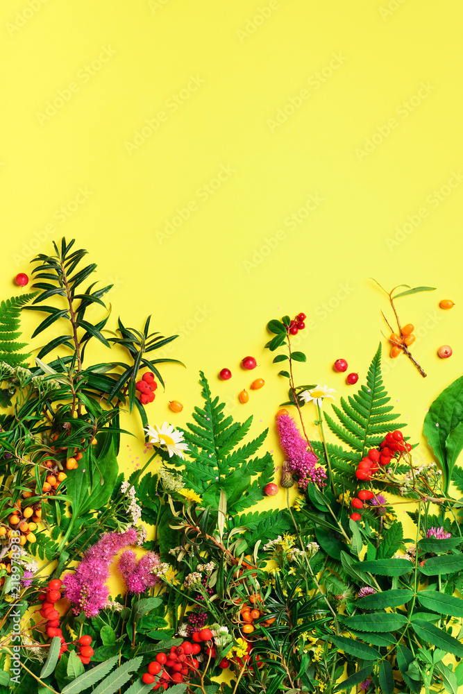 Wild healing herbs on bright yellow background. Alternative medicine concept, holistic approach. Top view, copy space, flat lay