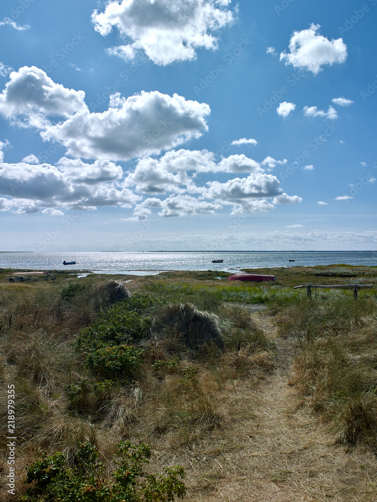 Laesoe / Denmark: View from the dune at Bloeden Hale over the coastal salt marsh and the wide bay called Boved Bugt Laesoe / Denmark: View from the dune at Bloeden Hale over the coastal salt marsh and the wide bay called Boved Bugt