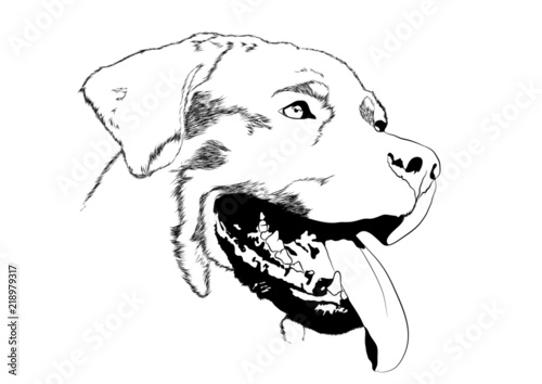 dog man best friend rottweiler