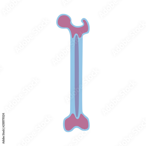 Vector illustration of bone marrow