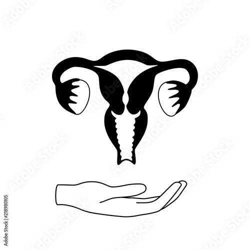 Vector isolated illustration of uterus