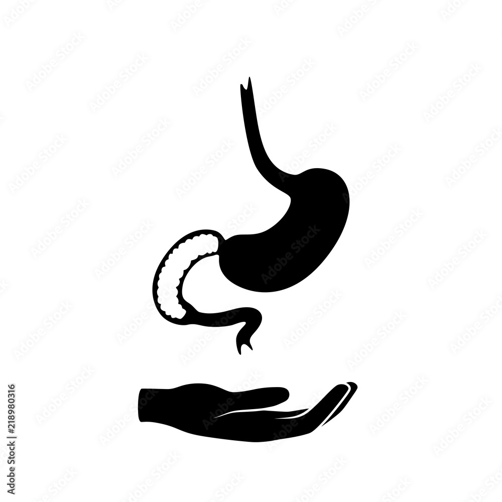 Vector isolated illustration of stomach Vector isolated illustration of stomach