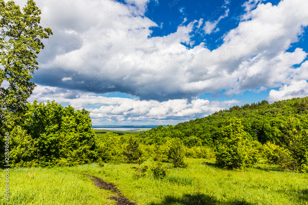 Obraz premium forests of the Khvalynsky National Park