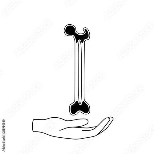 Vector illustration of bone marrow