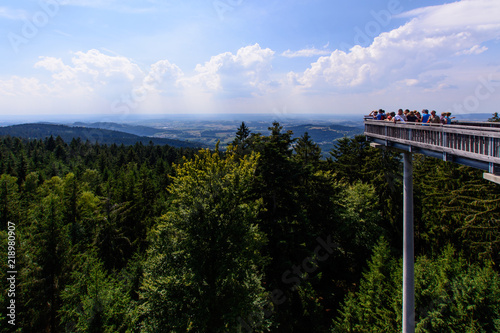Wald Wipfel Weg Sankt Englmar