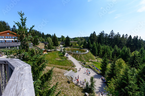 Waldwipfelweg Sankt Englmar