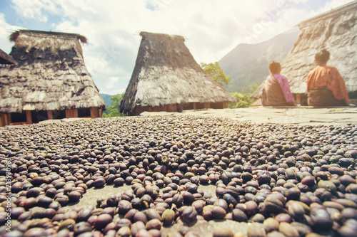 Organic coffee drying on stone slabs in the Wologai traditional village near Kelimutu in East Nusa Tenggara, Indonesia. photo
