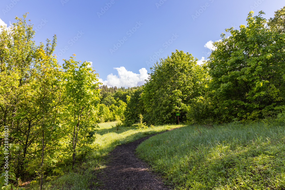 forests of the Khvalynsky National Park