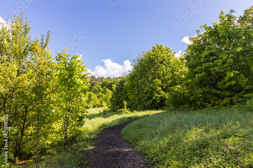 forests of the Khvalynsky National Park