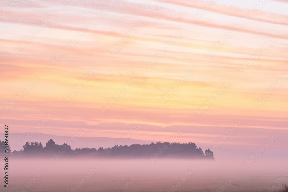 Fototapeta premium picturesque view of valley with trees at foggy sunrise 