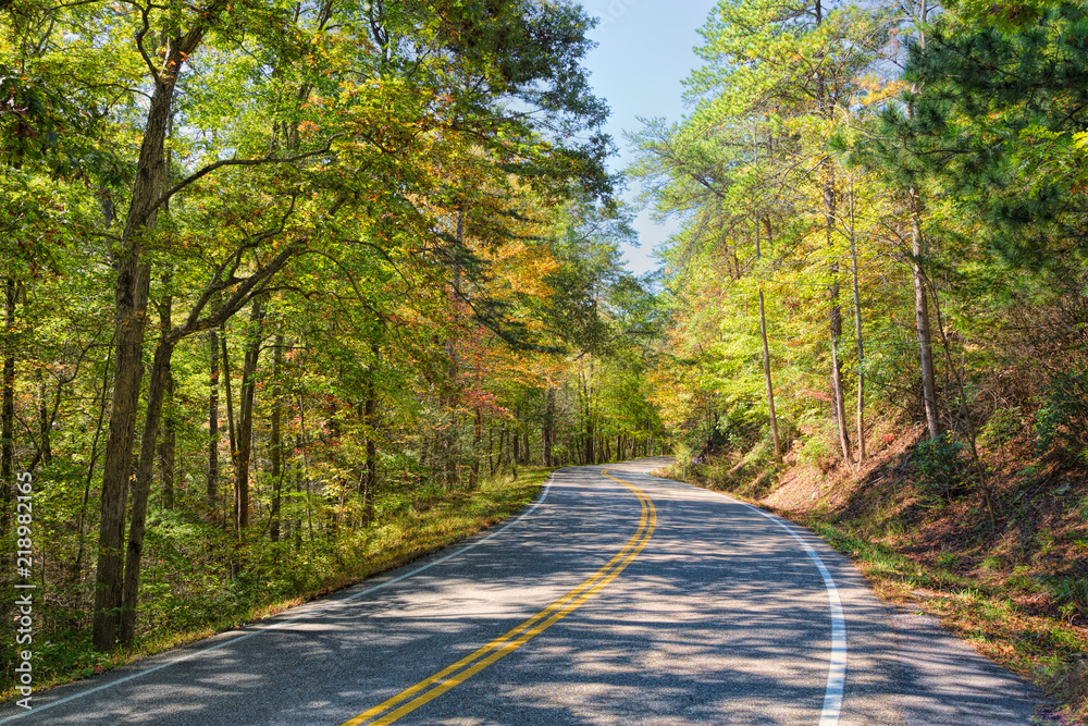 Fototapeta premium Highway of Colors