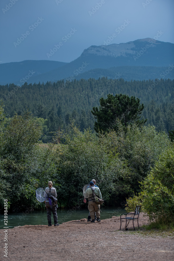 Obraz premium Mountain Pines