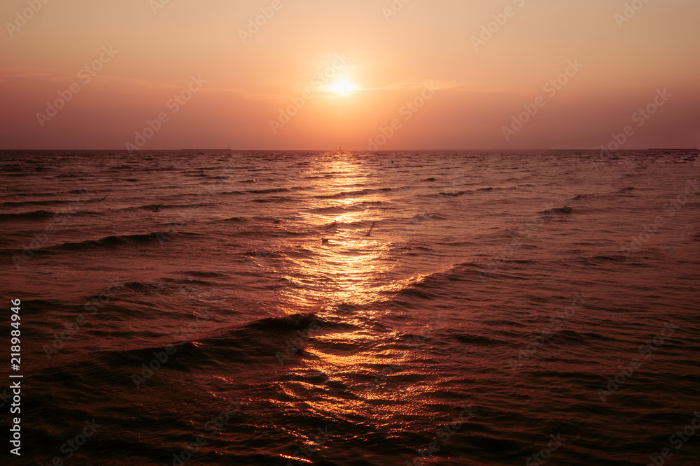 Vintage pastel sweet sunset sunrise twilight sky with seagull bird over the ocean.