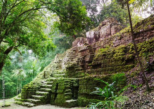 Tikal photo