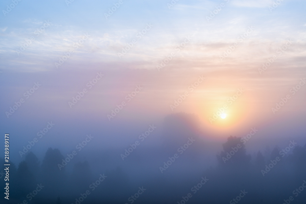 picturesque view of valley with trees at foggy sunrise
picturesque view of valley with trees at foggy sunrise