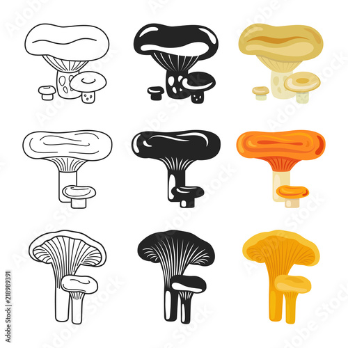 Mushroom icons. Autumn mushrooms set vector illustration