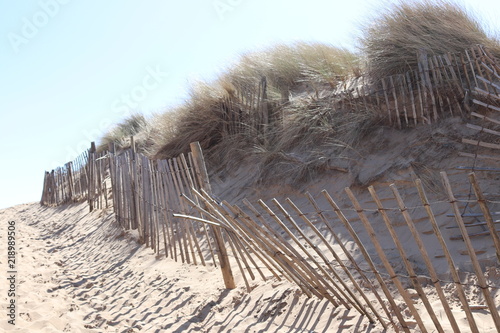 sand dune fence