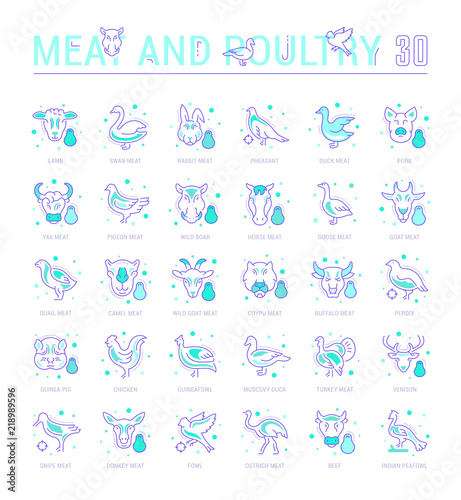 Set Blue Line Icons of Meat and Poultry