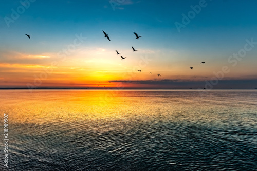 Beautiful sunrise with birds at the sea