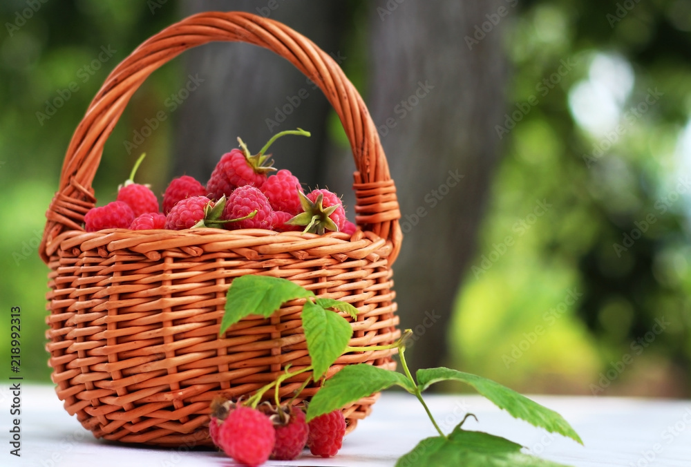 Fresh ripe raspberries in a wicker basket on the table Fresh ripe raspberries in a wicker basket on the table