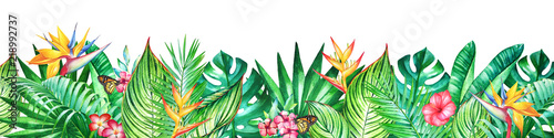 Background with watercolor tropical plants and flowers