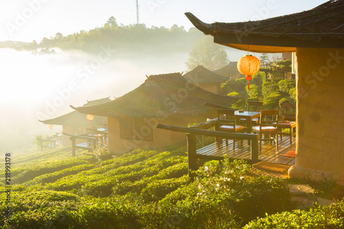 Sunrise at Lee wine  Rak Thai,Ban Rak Thai a Chinese settlement, Mae Hong Son, Thailand photo