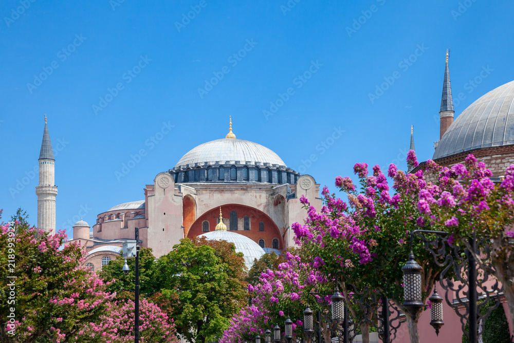 Hagia Sophia museum, Istanbul, Turkey
