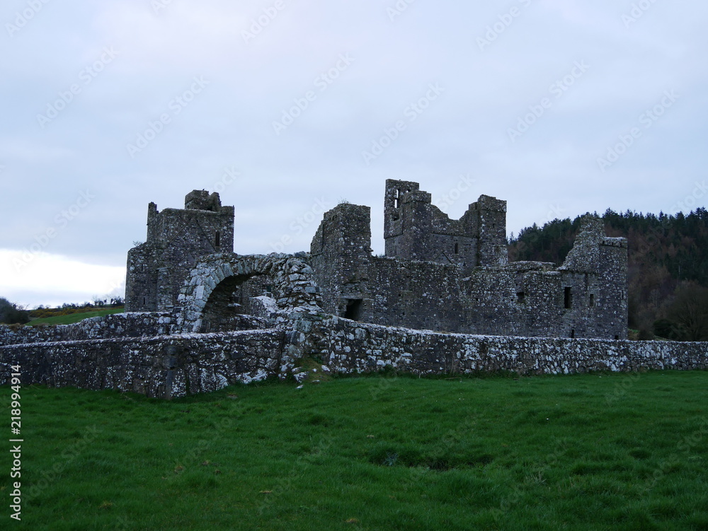 Altes Gemäuer in Irland