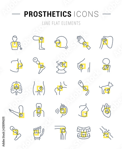 Set Vector Line Icons of Prosthetics.